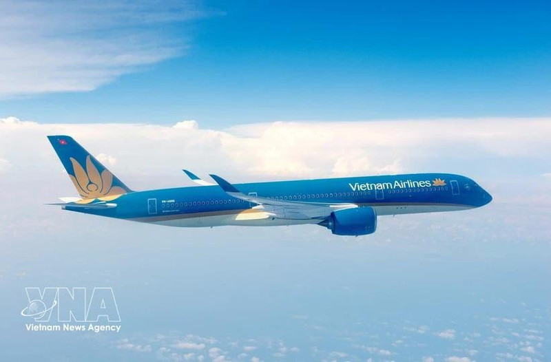Avion gros-porteur utilisé par Vietnam Airlines pour ses vols vers l'Europe. Photo : Vietnam+ 