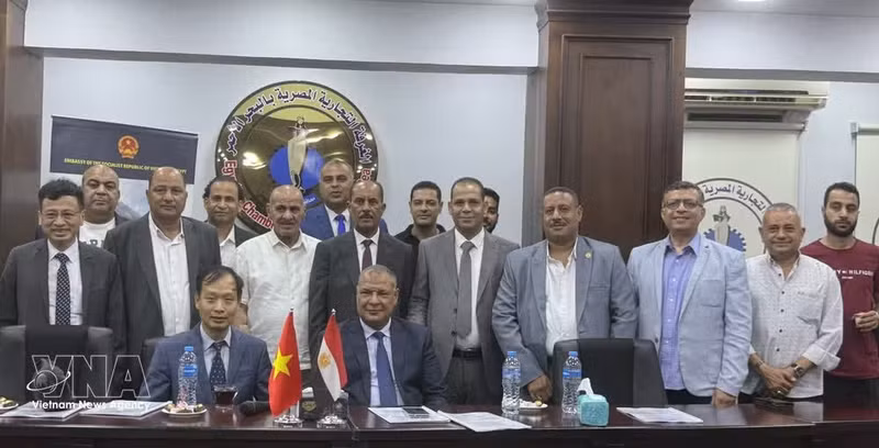 Le forum intitulé « Partenariat économique Vietnam-Égypte : croissance et opportunités ». Photo: VNA