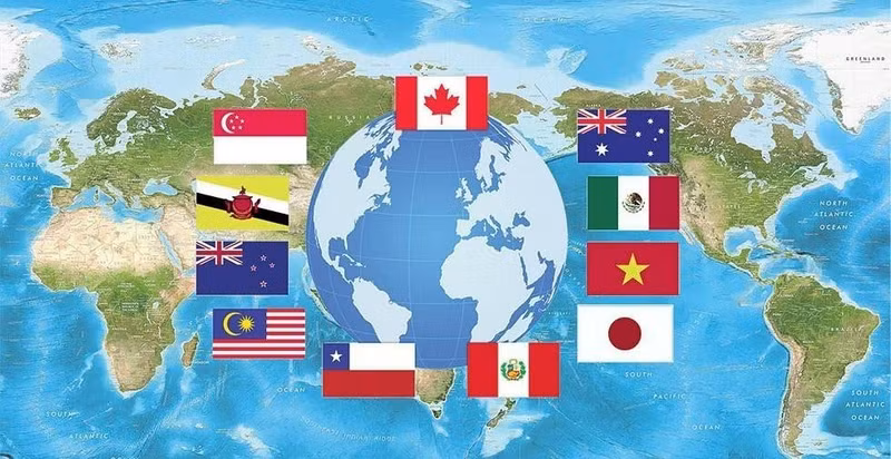 Les exportations malaisiennes vers les pays membres de l’Accord de partenariat transpacifique global et progressiste (CPTPP) ont progressé de 4,7 %. 