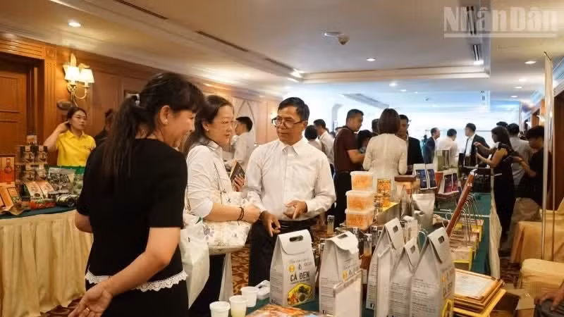 Des entreprises échangent et découvrent des produits lors de l’exposition organisée en marge de la conférence de promotion du commerce, du tourisme et de l’investissement. Photo : Dinh Truong.