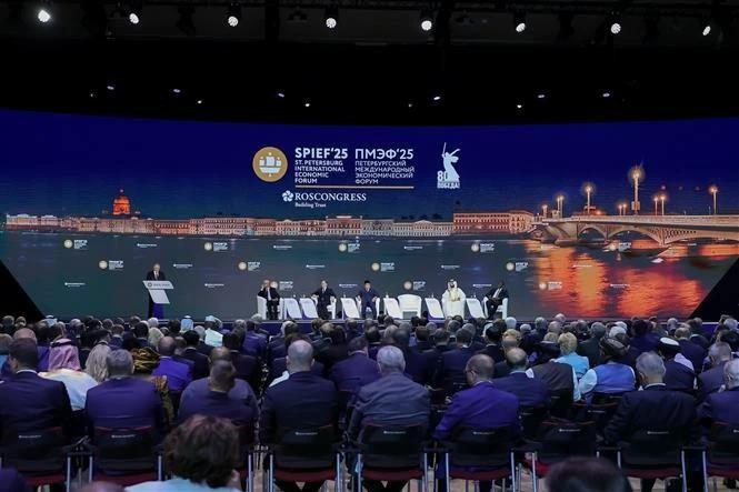 Séance plénière du SPIEF 28. Photo : VNA. 