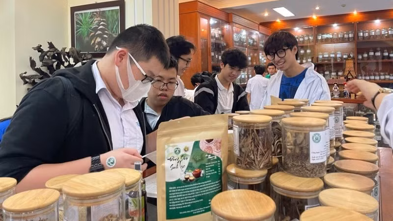Des étudiants visitent le Musée vietnamien des matériaux médicinaux. Photo : NDEL.