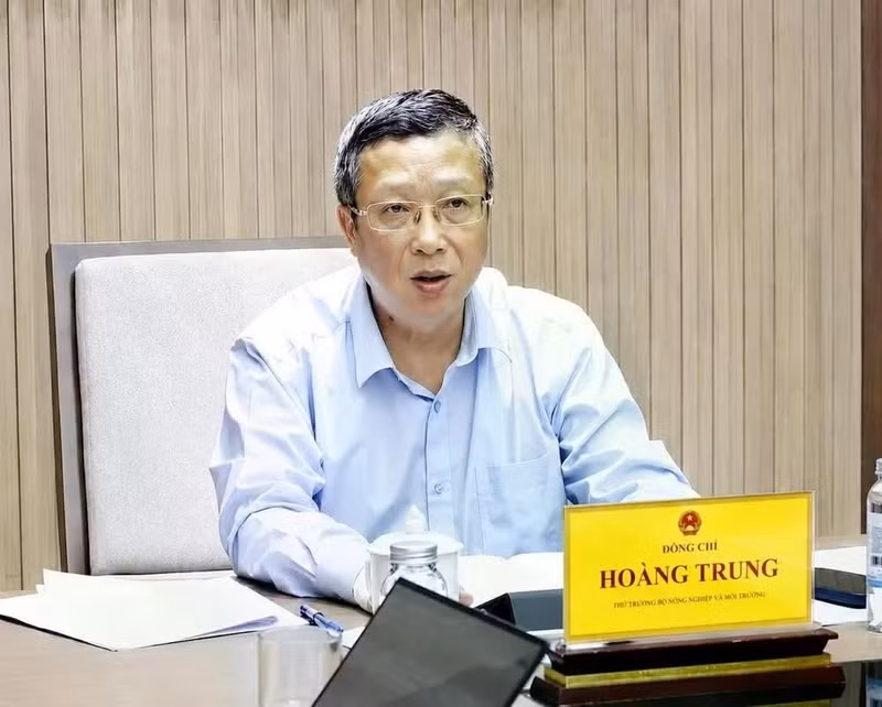 hoangtrung.jpg