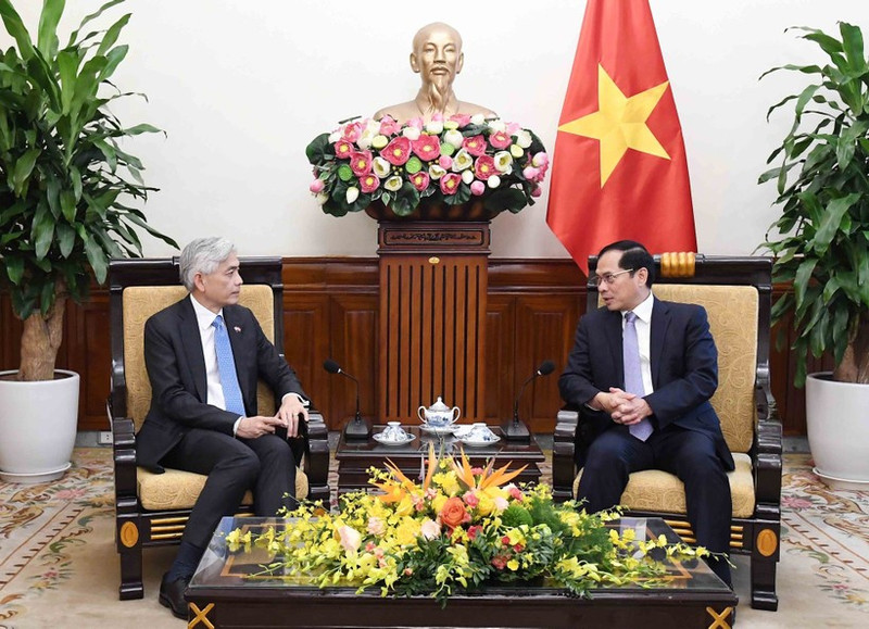 Le vice-Premier ministre et ministre des Affaires étrangères (AE) du Vietnam, Bui Thanh Son (à droite) reçoit Albert Chua, secrétaire permanent du ministère des Affaires étrangères de Singapour, le 26 août, à Hanoï. Photo : VNA 