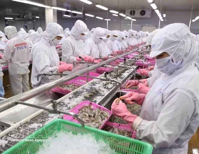Les produits de la mer figurent parmi les principaux produits d'exportation du Vietnam. Photo d'illustration : VNA