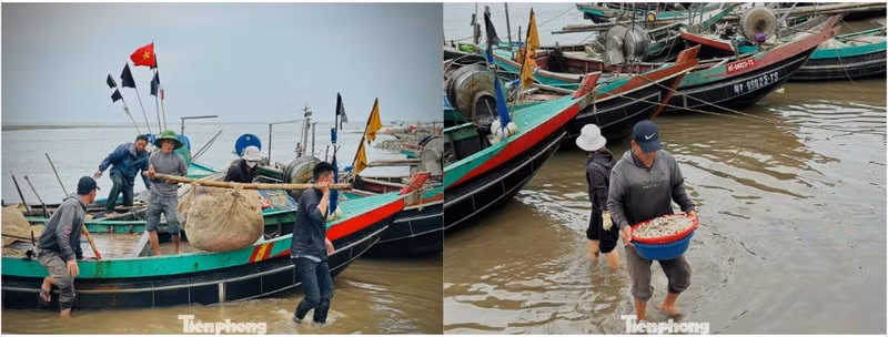 Pour de nombreuses familles, ces premières sorties en mer représentent une source de revenus significative et un signal encourageant pour l’année à venir. Dans cette région où la pêche artisanale demeure un pilier économique, ces prises abondantes sont perçues comme un « don de la mer » annonçant une saison favorable.