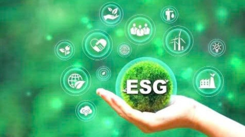 L'application des critères ESG (environnementaux, sociaux et de gouvernance) dans la production agricole s'impose aujourd'hui comme une tendance majeure. Photo d'illustration