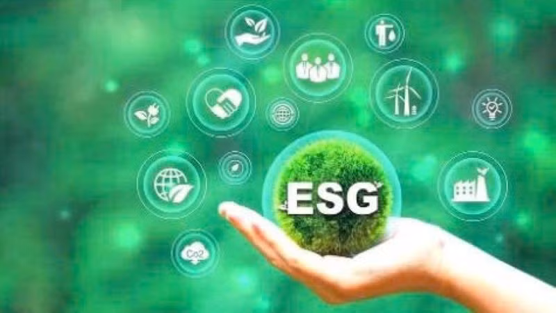 L'application des critères ESG (environnementaux, sociaux et de gouvernance) dans la production agricole s'impose aujourd'hui comme une tendance majeure. Photo d'illustration