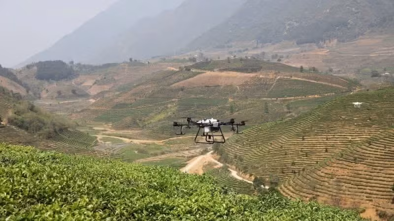 Utilisation d’un drone dans la production agricole, dans la province de Lai Chau. (Photo : MINH ANH)