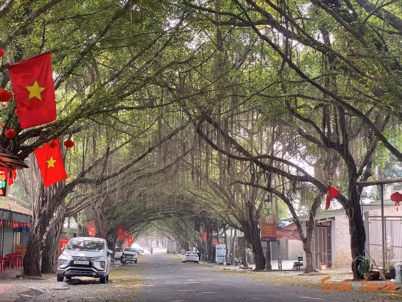 Peu de visiteurs savent qu’au-delà du portail s’étend ce véritable tunnel végétal : deux rangées de banians anciens dont les ramures entrelacées forment une voûte naturelle, protégeant du soleil comme de la pluie, et semblant accompagner les pas des pèlerins dans leur hommage aux ancêtres.