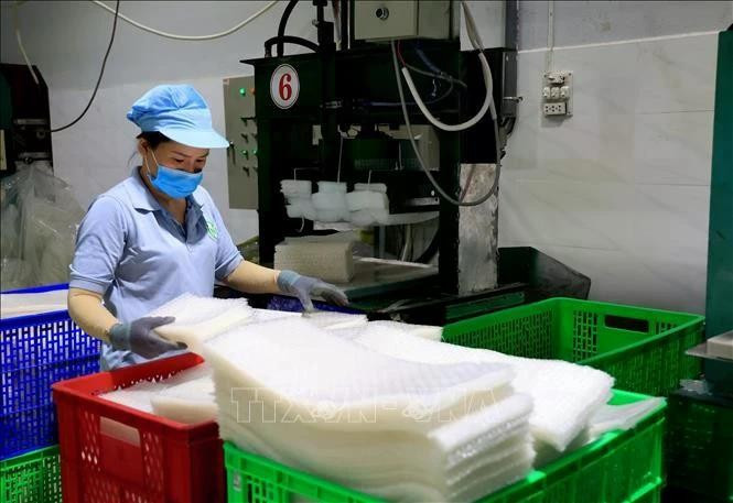 Production de galettes de riz, spécialité de Tây Ninh, à la société à responsabilité limitée Tân Nhiên (hameau de Truong Phu, commune de Truong Dông, ancien chef-lieu de la ville de Hoa Thành). Photo d’illustration : VNA