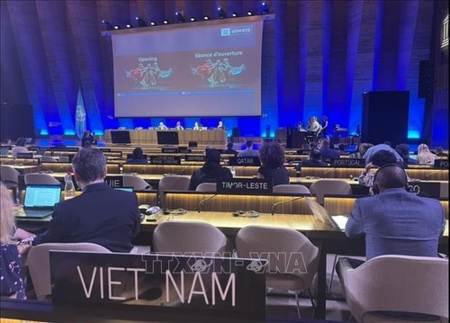 La 10e session de la Conférence des Parties à la Convention de l'UNESCO de 2005 sur la protection et la promotion de la diversité des expressions culturelles à Paris. Photo : VNA.