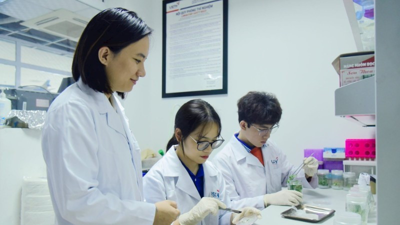 Un enseignant de l’Université des sciences et des technologies de Hanoï (USTH) guide des étudiants dans leurs recherches scientifiques. Photo : USTH 