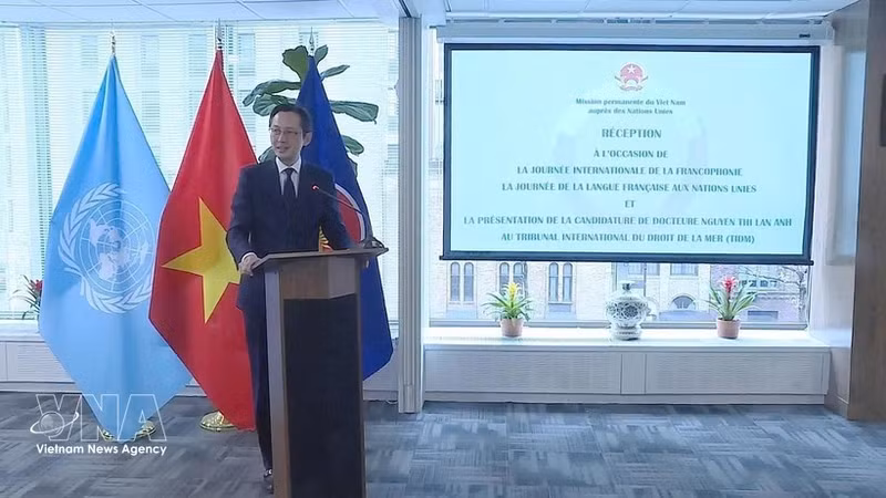 L'ambassadeur Do Hung Viet, chef de la Mission permanente du Vietnam auprès des Nations Unies. Photo: VNA