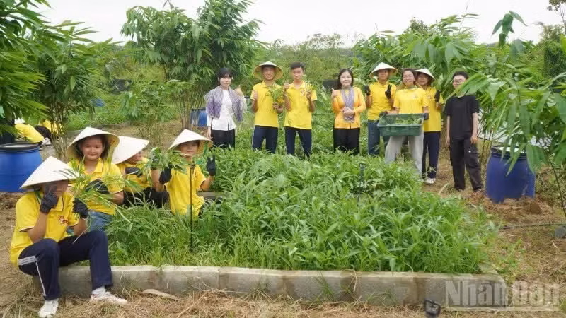 Des jeunes avec leurs récoltes cultivées au jardin communautaire. Photo: NDEL