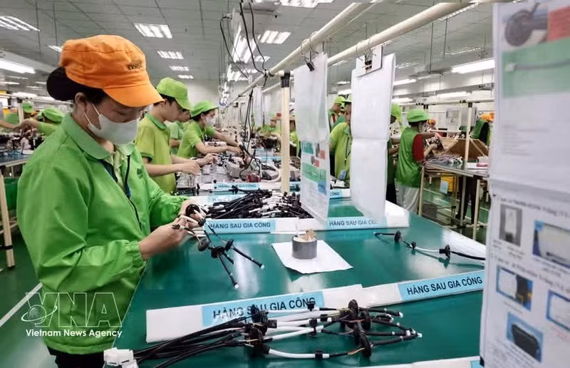 Ligne de production de faisceaux de câbles électriques chez la société Bandai Vietnam, implantée dans la zone industrielle Bo Trai, quartier de Hoa Binh, province de Phu Tho. Photo : VNA.