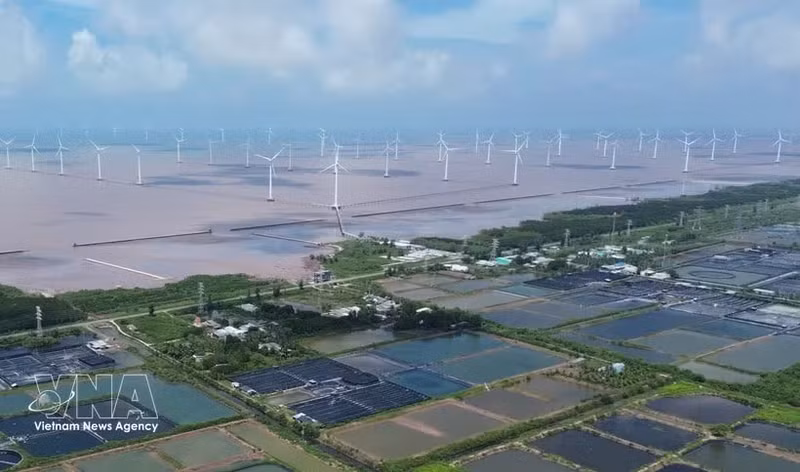 Un projet éolien en mer dans la commune de Dong Hai, province de Ca Mau. Photo : VNA.