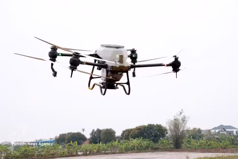 La coopérative de jeunesse Nam Dai Duong, dans la commune de Nghia Hung (province de Ninh Binh), utilise des drones pour le semis du riz. Photo d'illustration : Nguyen Lanh - VNA.
