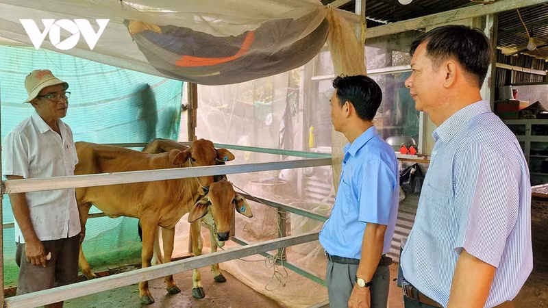 Soutien aux moyens de subsistance à l'ethnie khmer. Photo: VOV