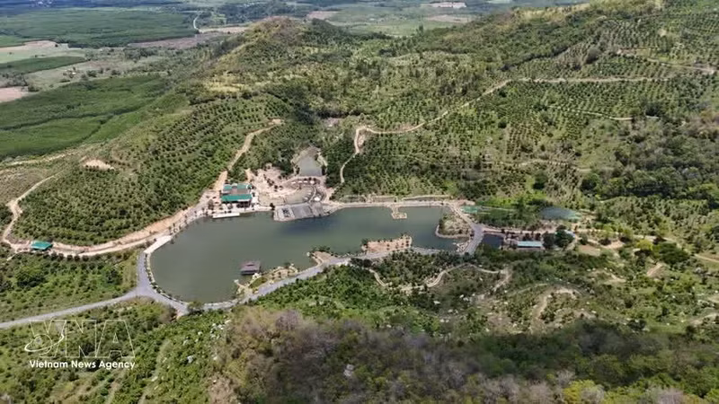 Le modèle d'agriculture biologique circulaire de Khanh Hoa porte des résultats encourageants. Photo : VNA.