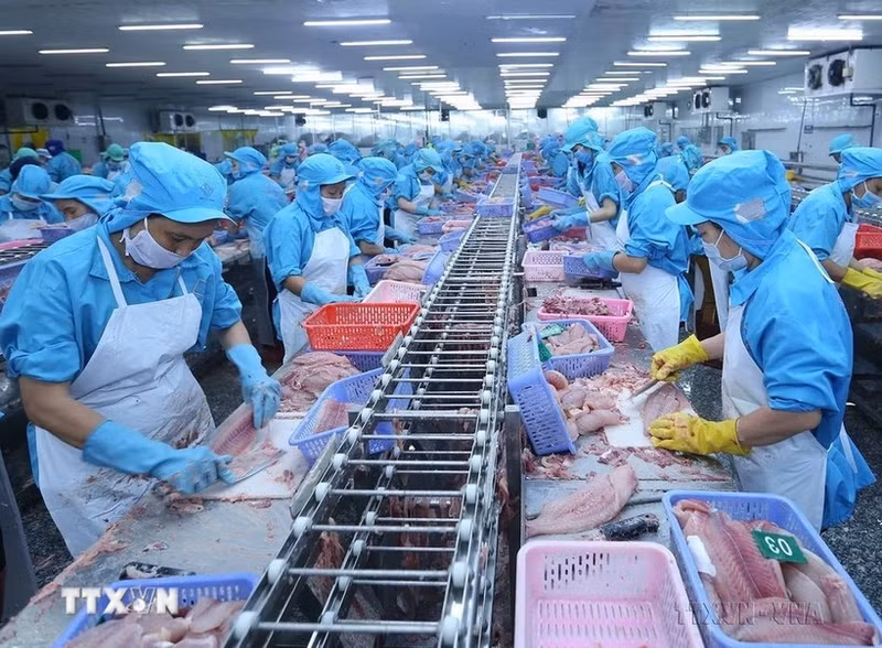 Transformations des produits aquatiques pour les exportations. Photo : VNA.