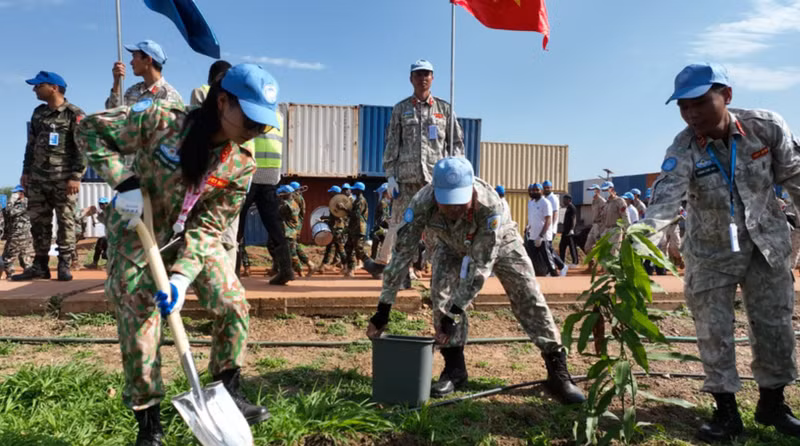 La 3e équipe du génie vietnamien plante des arbres dans les casernes. Photo: NDEL