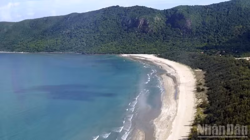 La mer et la forêt du parc national de Con Dao. Photo : NDEL