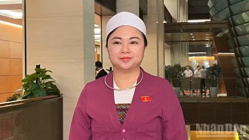 Dang Bich Ngoc, vice-présidente de la délégation des députés de la province de Phu Tho. Photo : NDEL