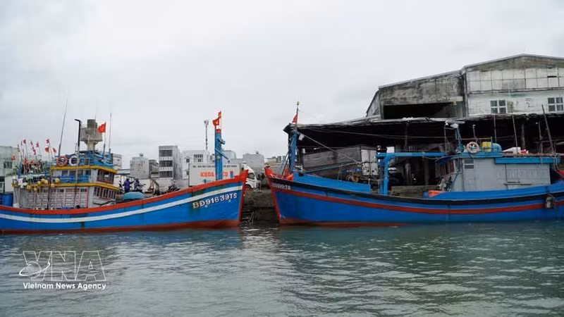 Des bateaux de pêche accostent au port de Quy Nhon, dans la province de Gia Lai, pour y effectuer les formalités d'import-export. Photo : VNA