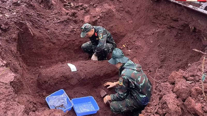 Des équipes de recherche fouillent une plantation d'hévéas appartenant à l'ancien aéroport de Loc Ninh à la recherche des restes de soldats tombés au combat. Photo : Équipe K76.