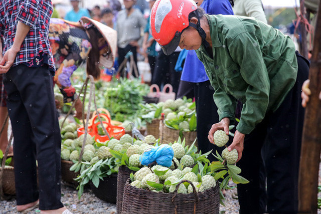 Lang Son: Plein d’animation sur le marché des pommes cannelles le plus grand du pays ảnh 9 Lang Son: Plein d’animation sur le marché des pommes cannelles le plus grand du pays ảnh 9