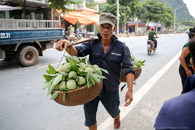 Lang Son: Plein d’animation sur le marché des pommes cannelles le plus grand du pays ảnh 4 Lang Son: Plein d’animation sur le marché des pommes cannelles le plus grand du pays ảnh 4