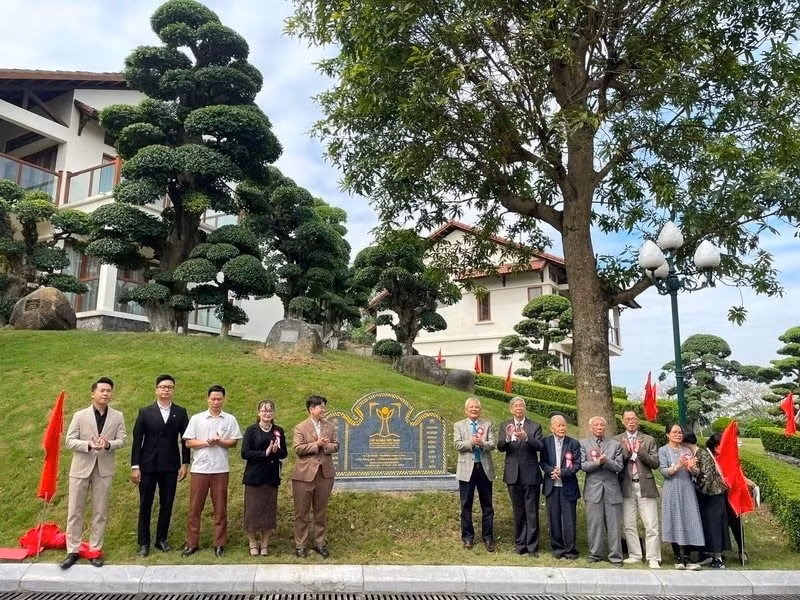 La cérémonie de reconnaissance de 12 arbres anciens comme arbres patrimoniaux du Viêt Nam s'est déroulée dans le quartier de Vu Ninh, province de Bac Ninh. Photo : VNA 