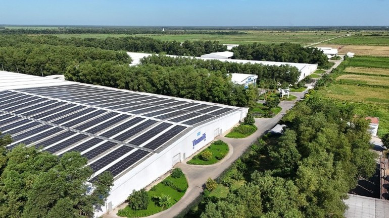 L'énergie solaire couvre désormais les usines et les fermes de Vinamilk, aux côtés de sources d'énergie verte telles que la biomasse, le GNC et le biogaz, dont les taux d'utilisation augmentent régulièrement. Photo : NDEL