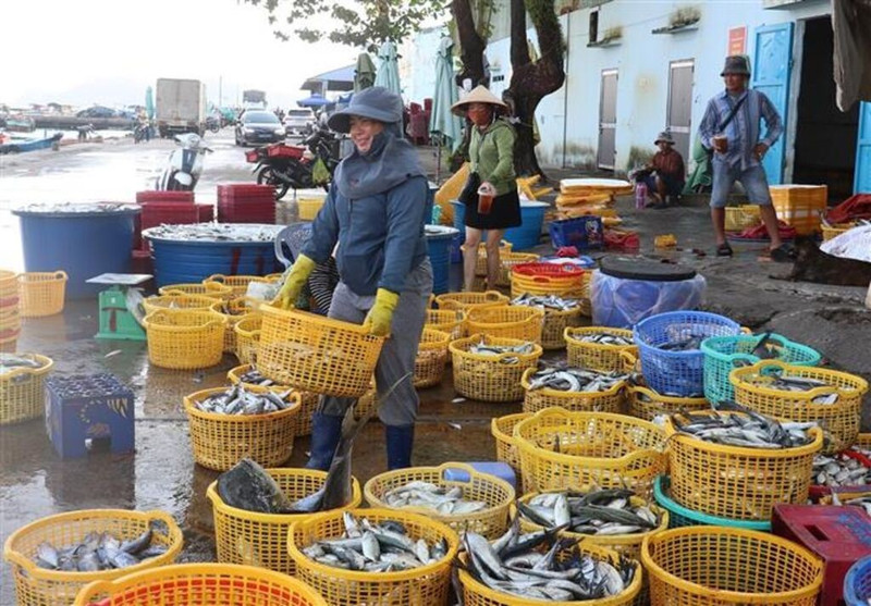 Au port de pêche d'An Thoi, à An Giang (Sud). Photo : VNA.