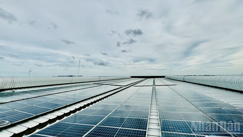 L'énergie solaire sur les toits du parc industriel DEEP C, Hai Phong, au Nord-Est du Vietnam. Photo : HNV.