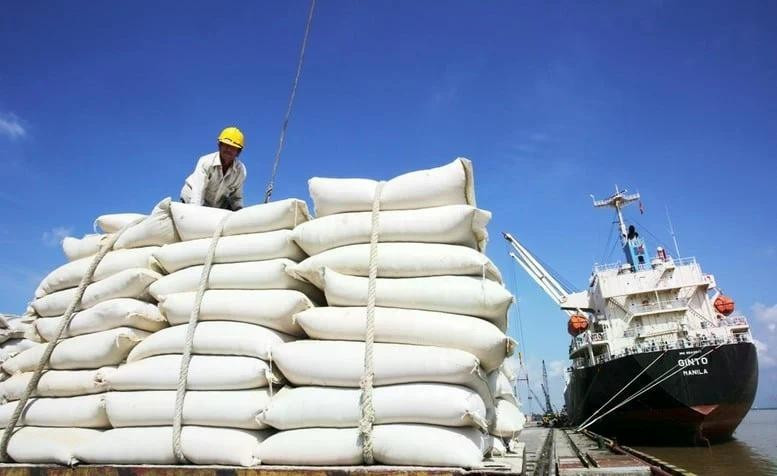 Le Vietnam pourrait exporter un volume estimé à 7,73 millions de tonnes de riz en 2026. Photo : VGP