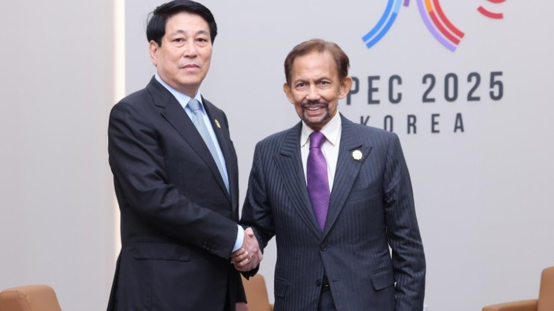 Le président vietnamien Luong Cuong et le sultan de Brunei, Hassanal Bolkiah, lors du sommet APEC 2025 en République de Corée. Photo : VNA.