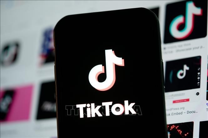 Logo TikTok sur smartphone à Arlington, Virginie. Photo : VNA.
