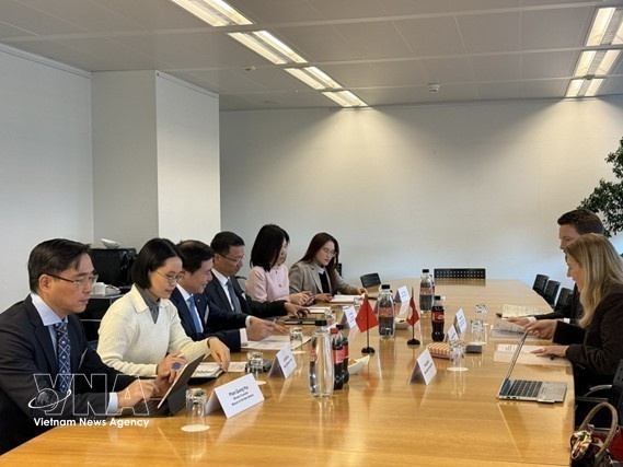 La délégation vietnamienne et les représentants suisses ont discuté du contenu du 19e cycle de négociations en vue de l'accord de libre-échange (ALE) entre le Vietnam et l'AELE. Photo : VNA.