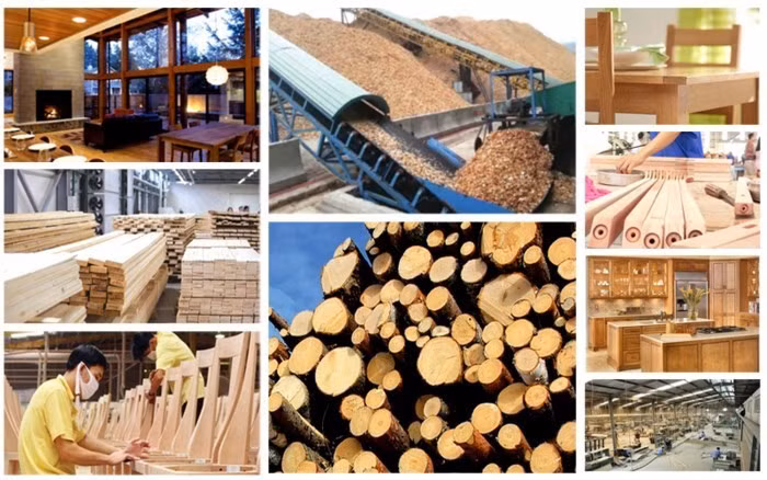 Le bois et les produits dérivés figurent parmi les principaux secteurs d'exportation, générant chacun plus de 10 milliards de dollars américains au cours des 11 derniers mois de l'année. Photo : VNA