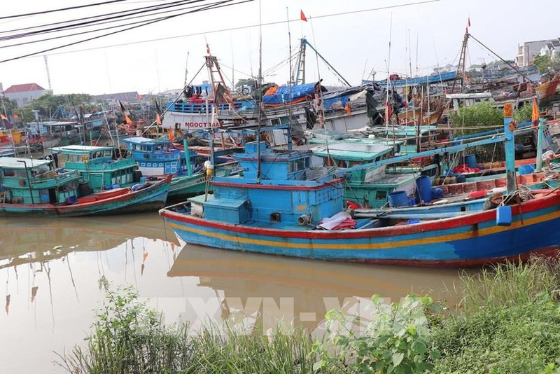 Ho Chi Minh-Ville intensifie la clôture des dossiers de violations liées à la pêche illicite (INN). Photo: VNA