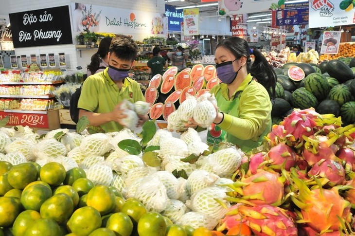 Avec un marché estimé à près de 480 millions de dollars, l’UE demeure l’un des débouchés à la croissance la plus rapide pour les fruits et légumes vietnamiens. Photo : VOV