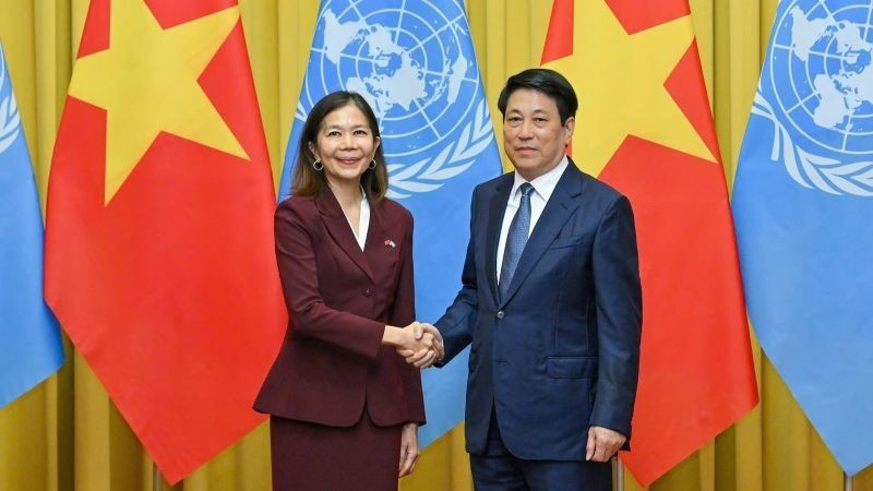 Le président Luong Cuong et Mme Pauline Tamesis, coordinatrice résidente des Nations Unies (ONU) au Vietnam. Photo : NDEL