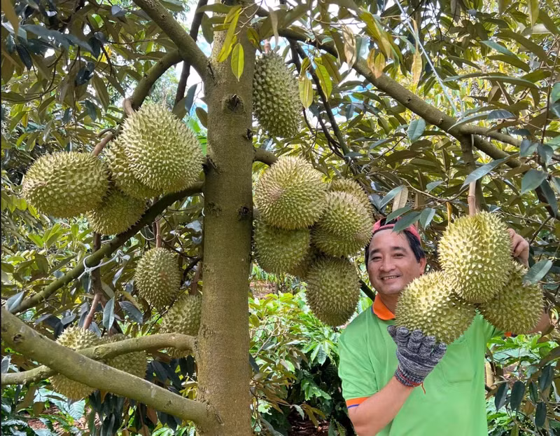 Sur les huit premiers mois de l’année, la Chine a importé près de 2,8 milliards de dollars de produits vietnamiens. Photo : vnexpress.net