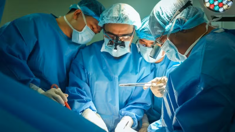 Trois vies renaissent grâce aux organes donnés par la jeune Britannique. Photo : NDEL.