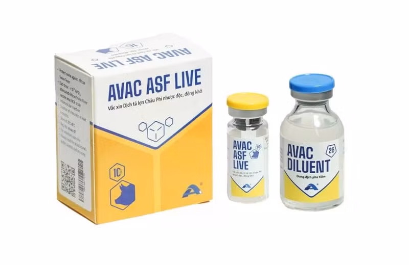 AVAC Vietnam JSC exporte le premier lot de vaccin AVAC ASF LIVE vers l'Indonésie le 9 juin. Photo : avac.com.vn