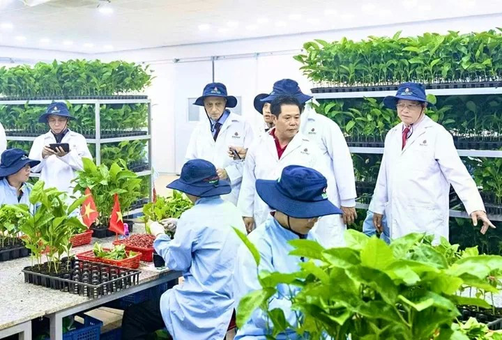Des experts technologiques israéliens coopèrent avec des entreprises vietnamiennes pour développer des applications technologiques dans l'agriculture. Photo : baogialai.com.vn
