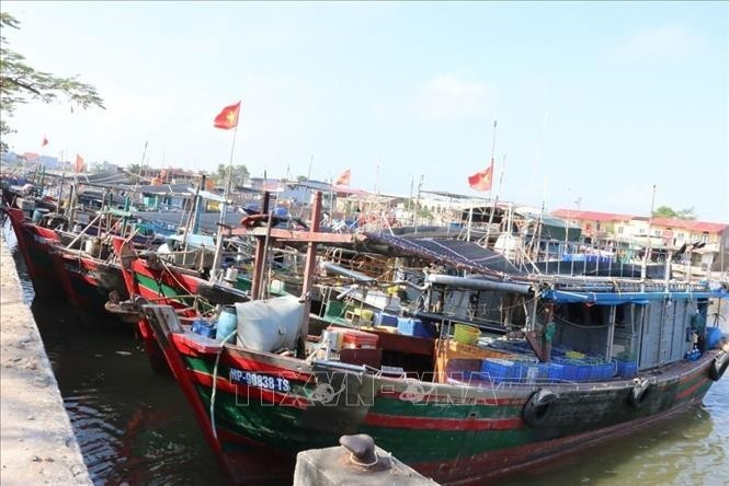 Bateaux de pêche mouillant dans un port de pêche de Hai Phong. Photo : VNA.