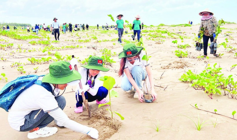 Des touristes plantent des arbres dans la zone côtière de la commune de Thanh Phong (district de Thanh Phu, province de Ben Tre). Photo : NDEL.